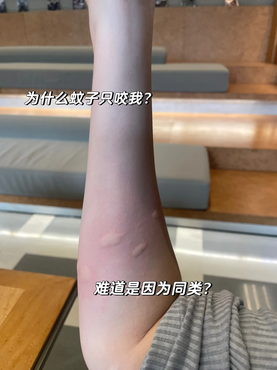 Plog｜00后勇闯房地产做运营的一天！