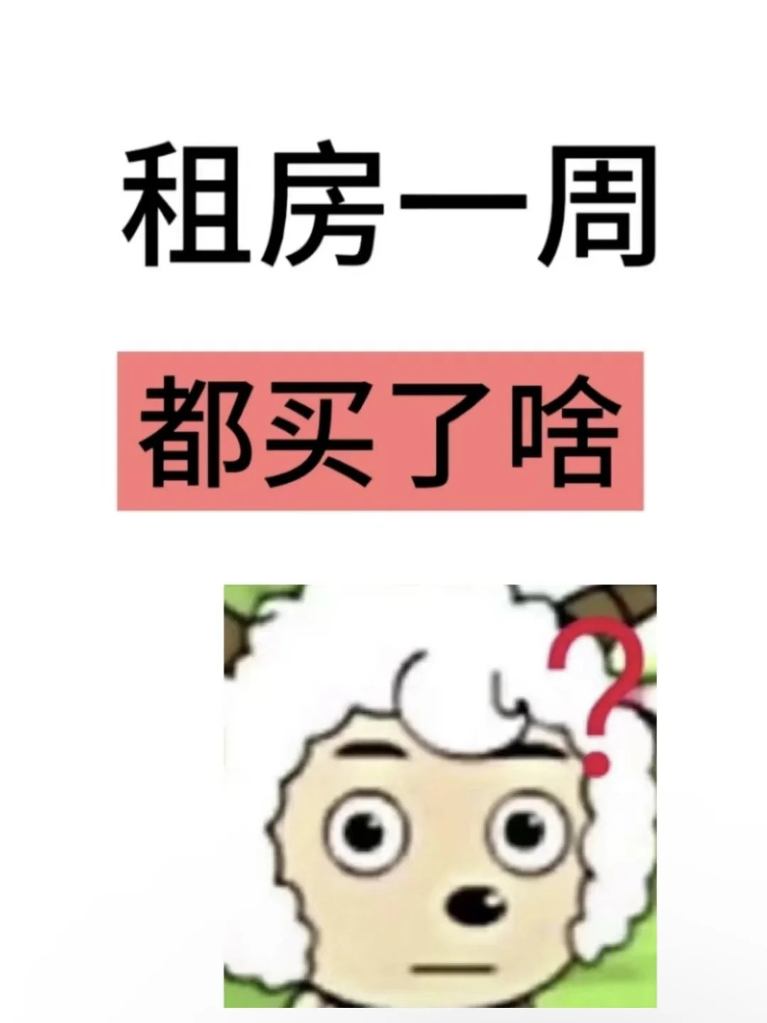 你们出租屋都买了什么很值的东西