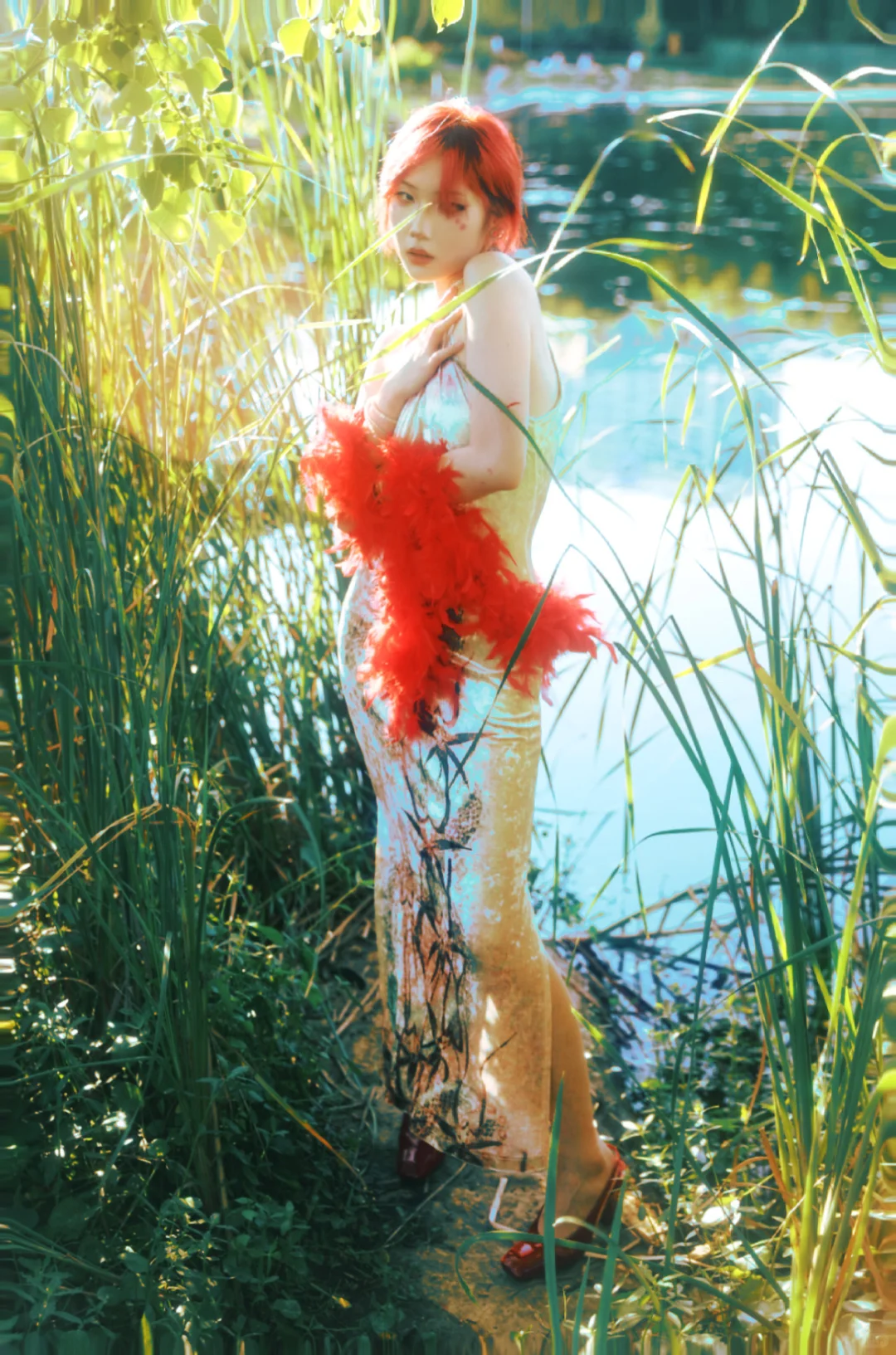 如 花 似 梦