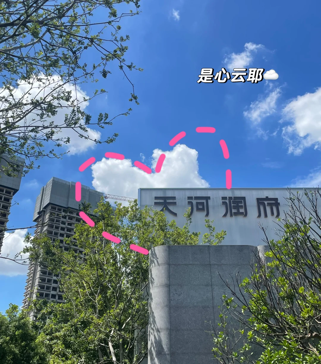 Plog｜00后勇闯房地产做运营的一天！
