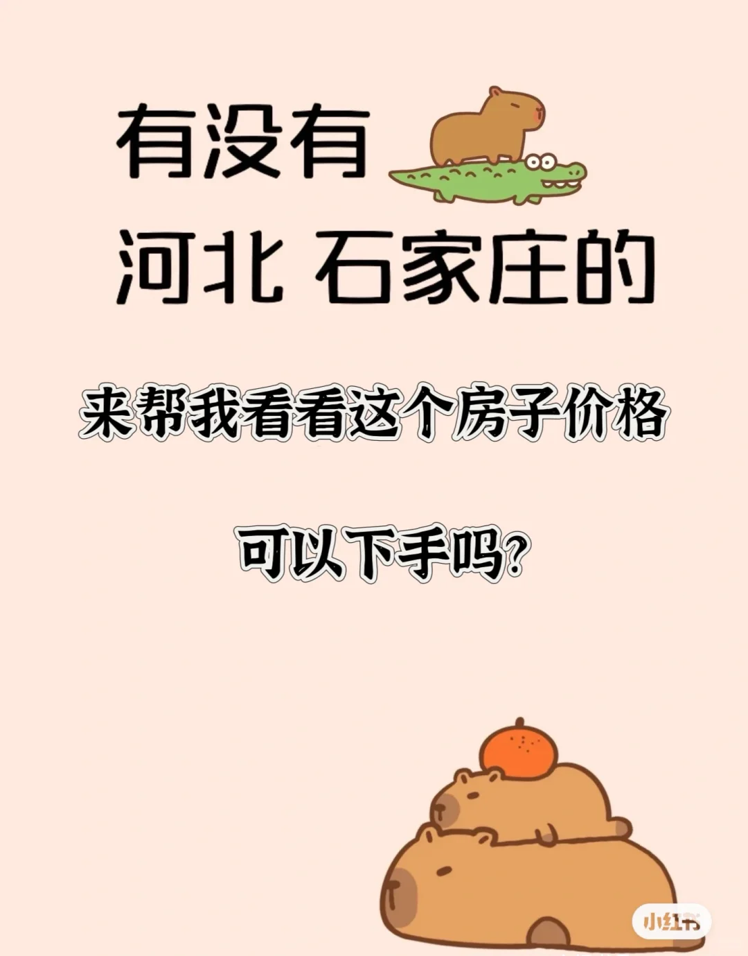 石家庄的家人帮我看看能买嘛🤧