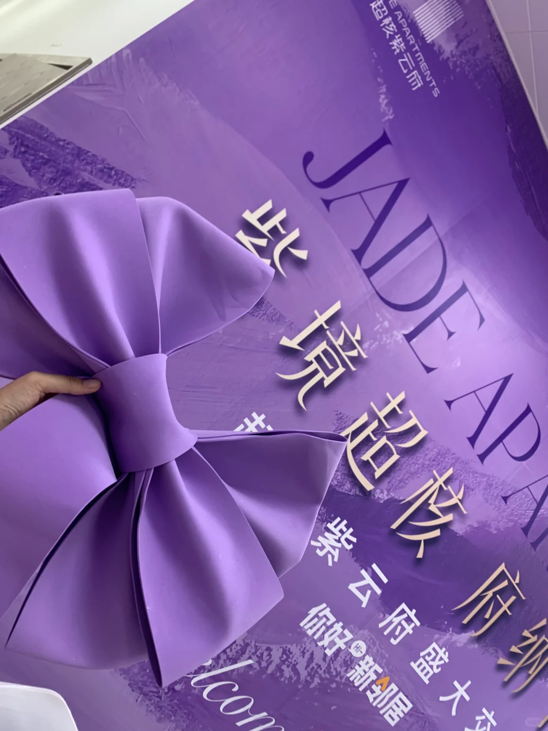 不敢发朋友圈系列，紫云府收房