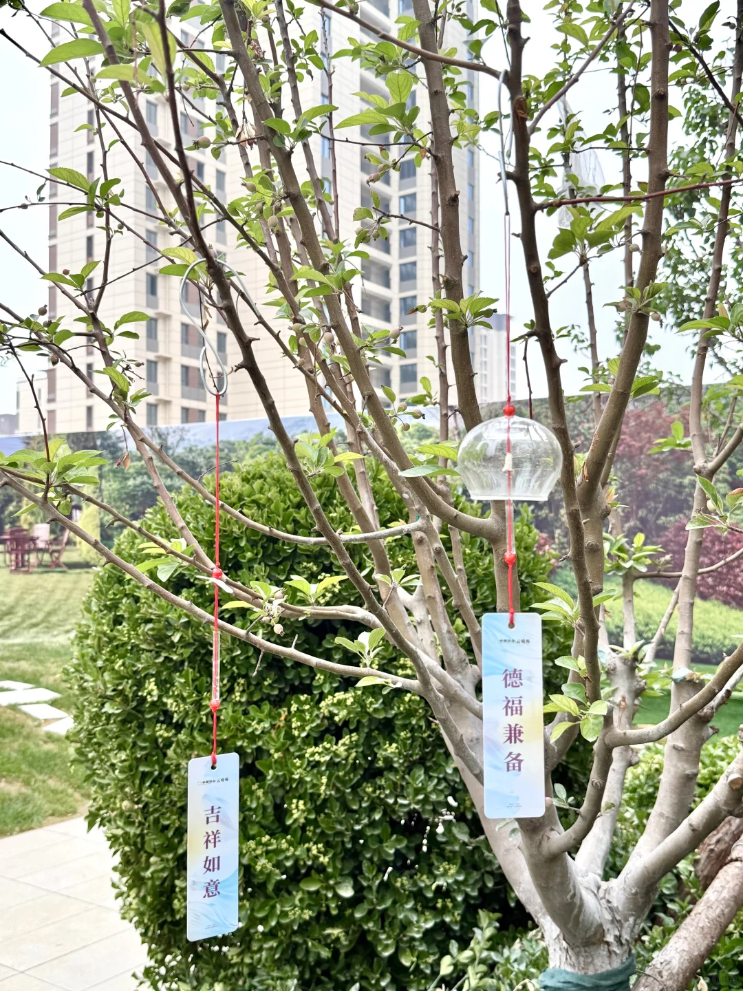 我终于在保定买房了，不靠自己全靠爸妈！