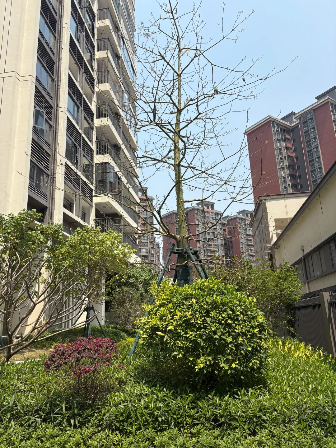 这小区你们觉得怎么样？