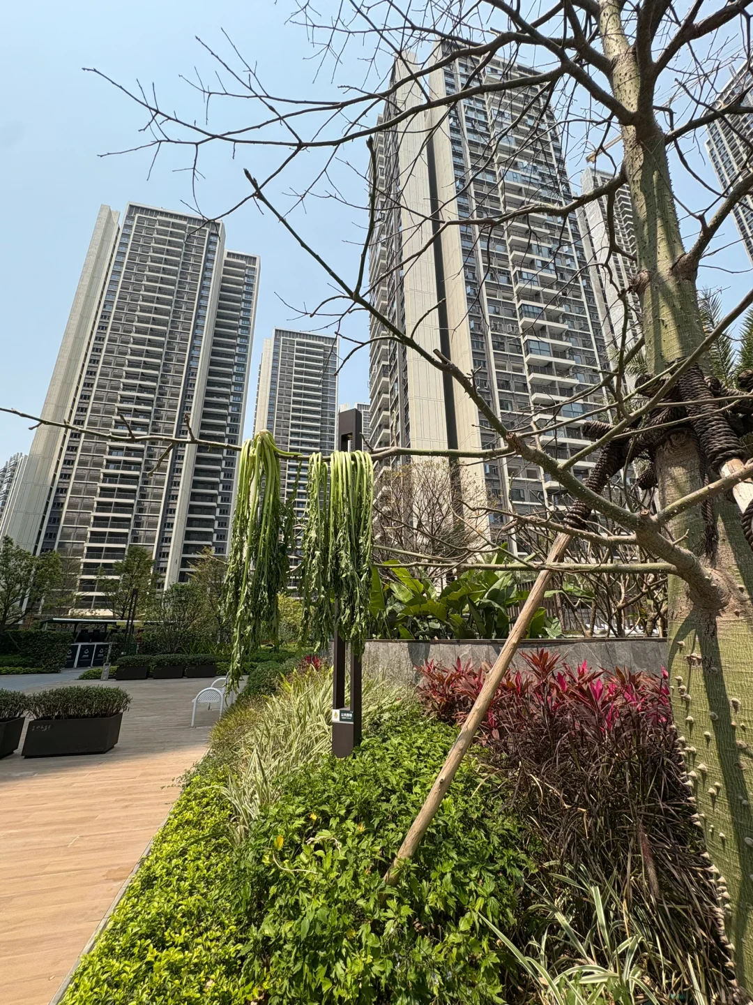 这小区你们觉得怎么样？
