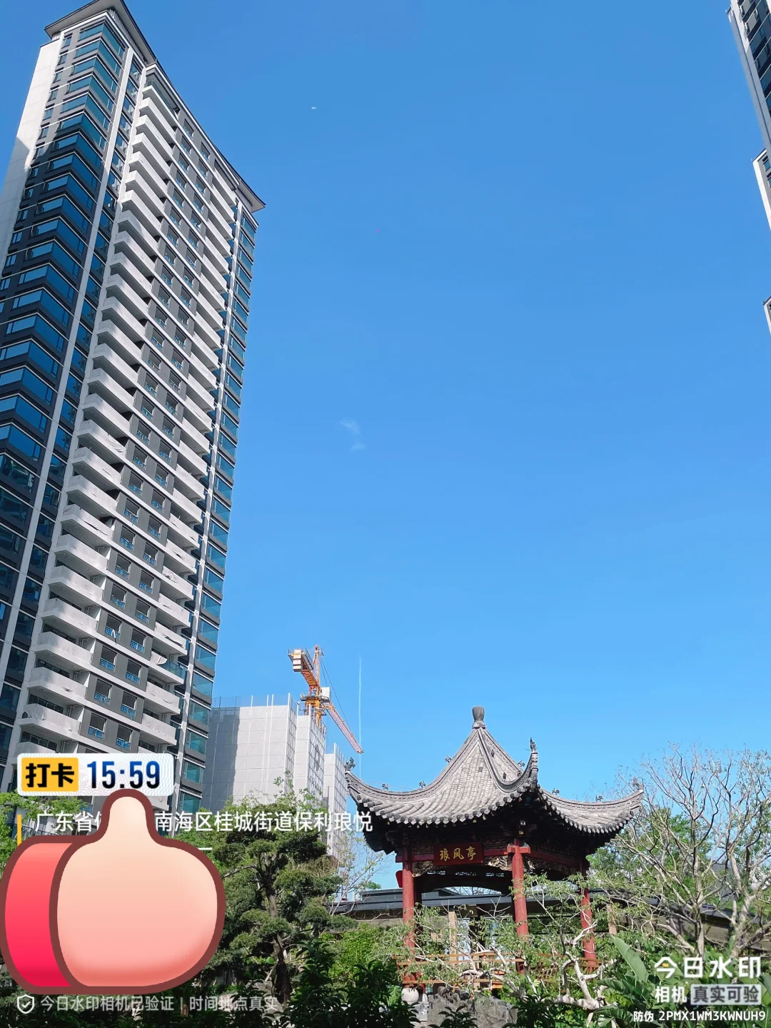 小区的园林景观超级漂亮呀～这个盘是在桂城，