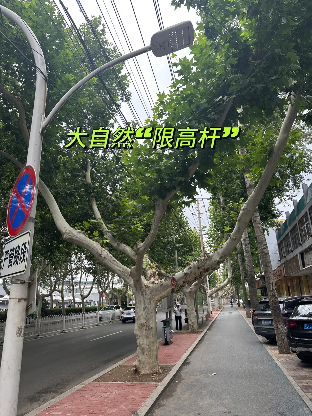 路过邯郸