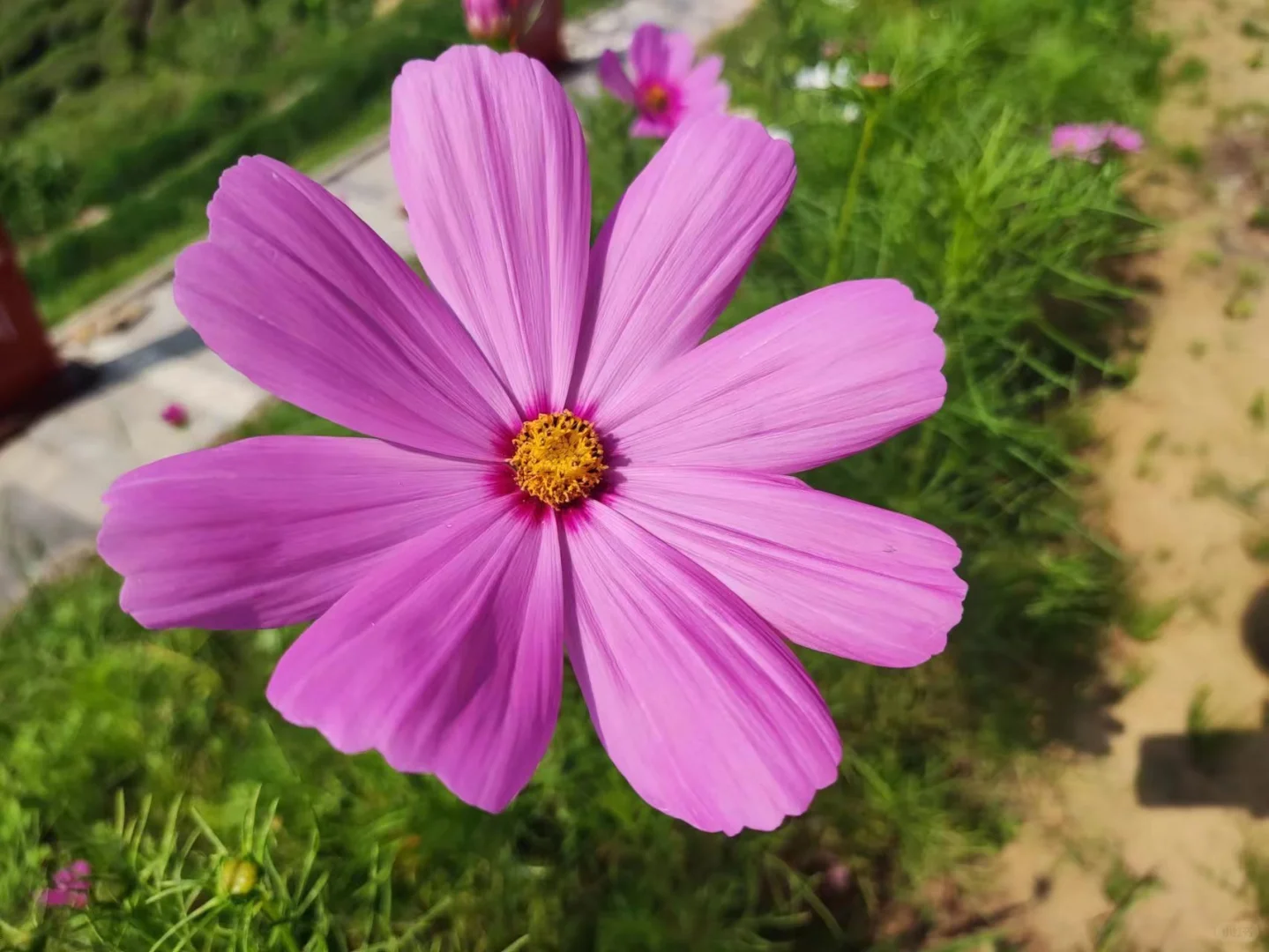 坐标济南，求房源