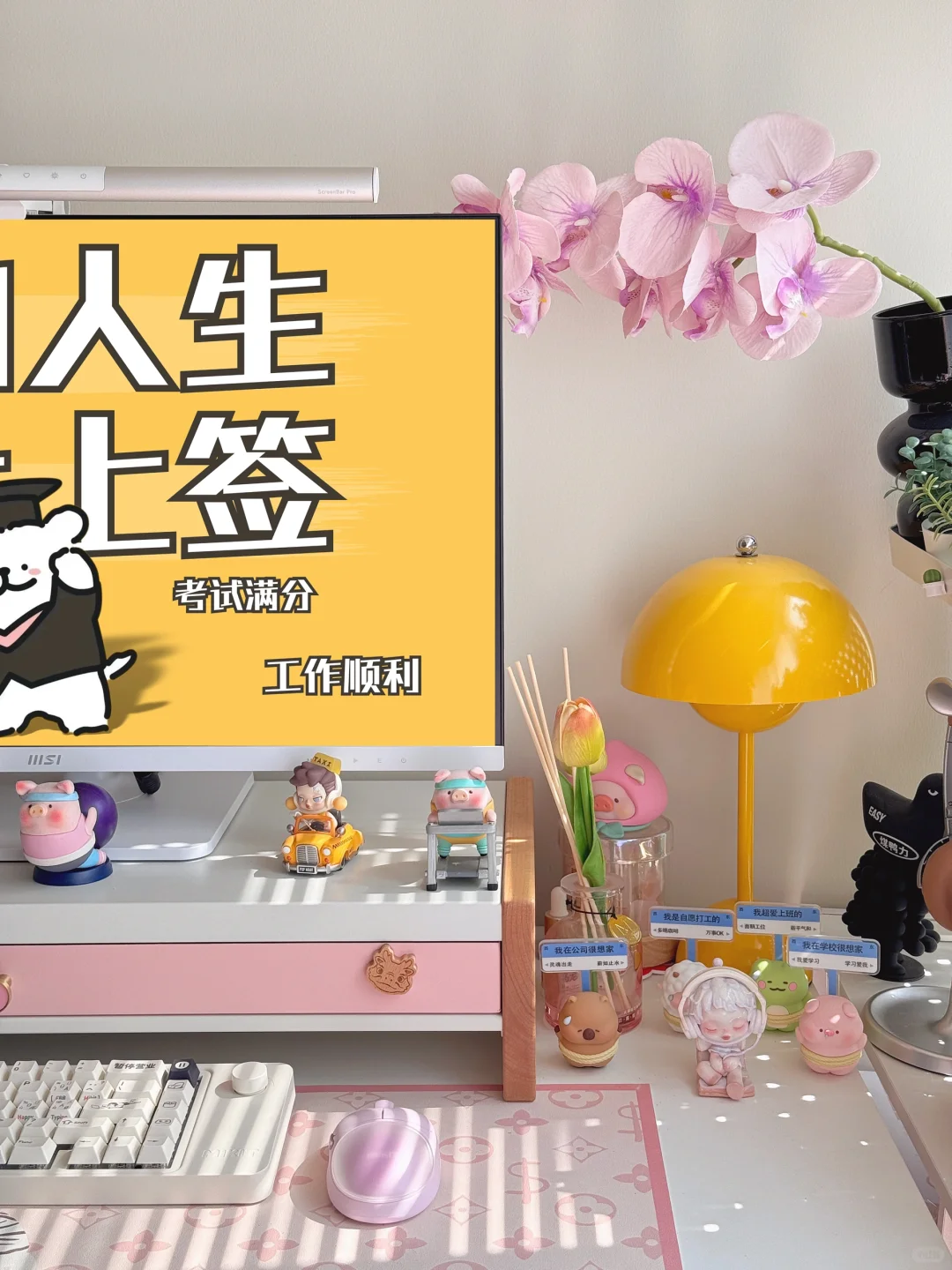 我的人生是旷野，乱答也满分💯‼️