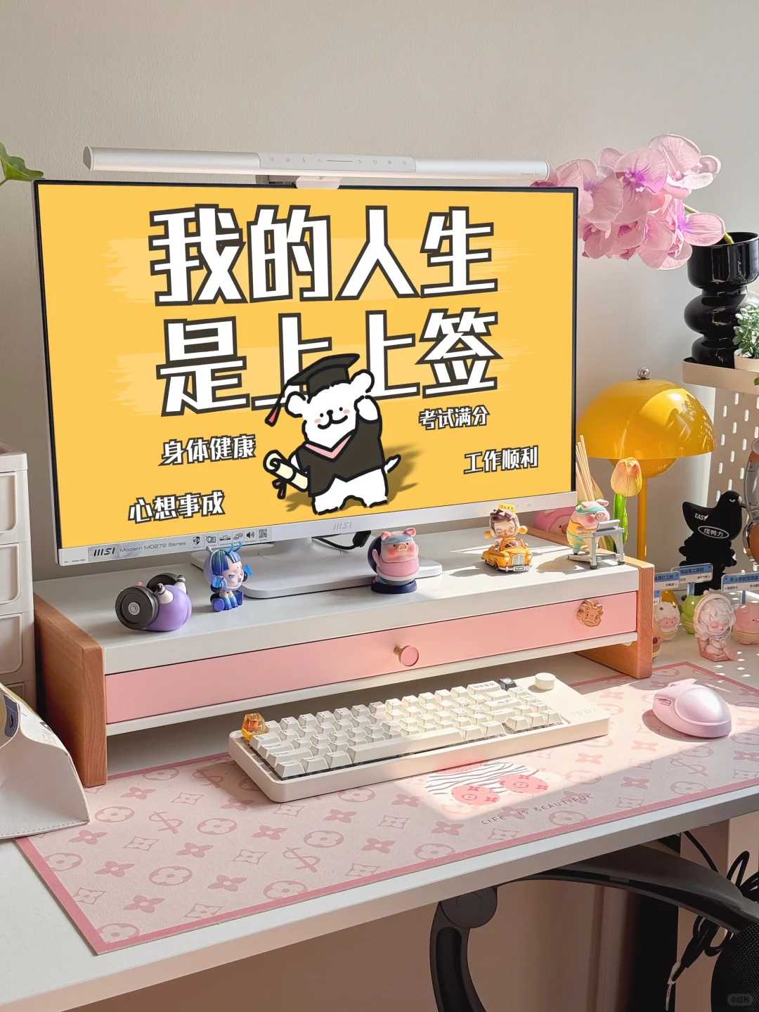 我的人生是旷野，乱答也满分💯‼️