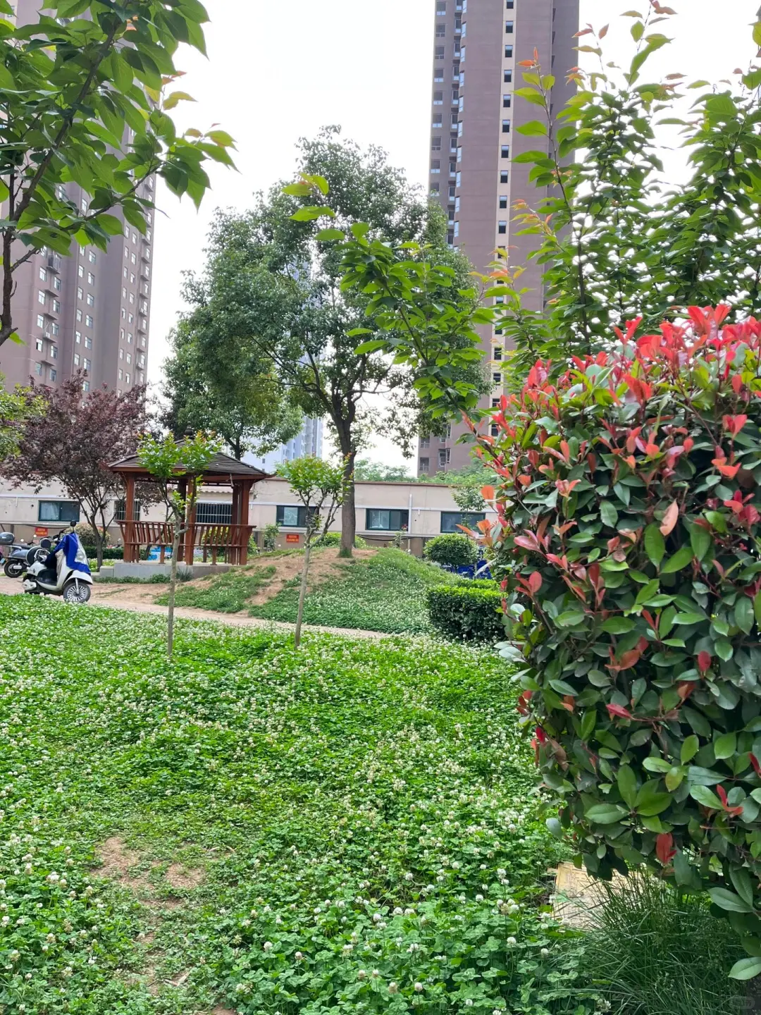 南阳业主自售48平标准一室一厅70年住宅🏠