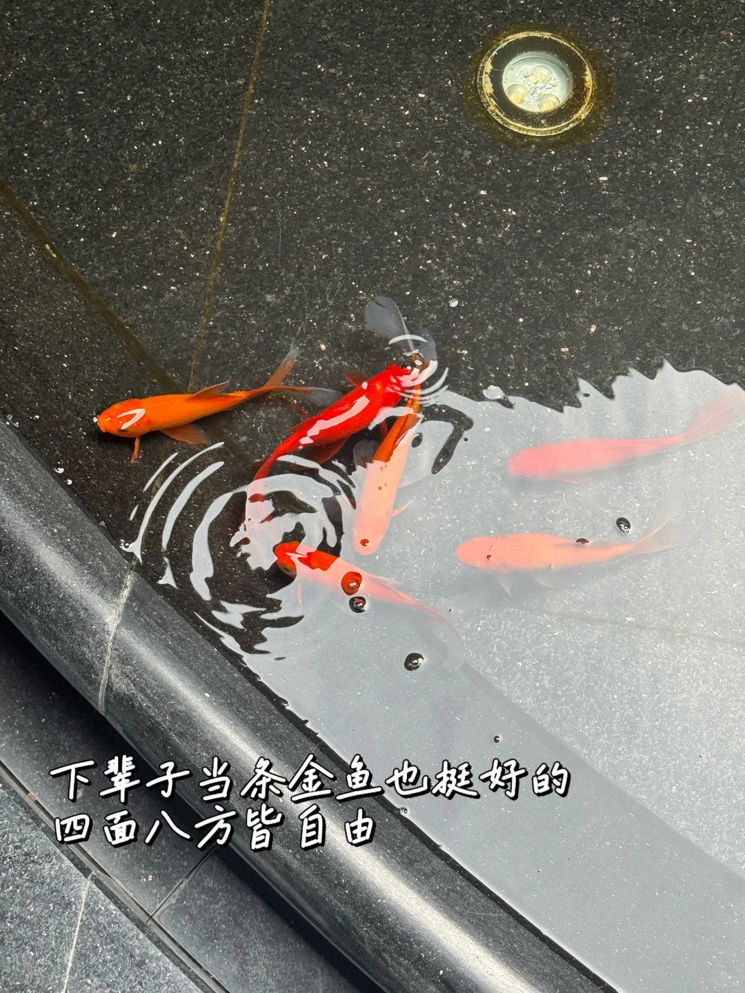 地产打工人Plog ｜案场销售工作实录
