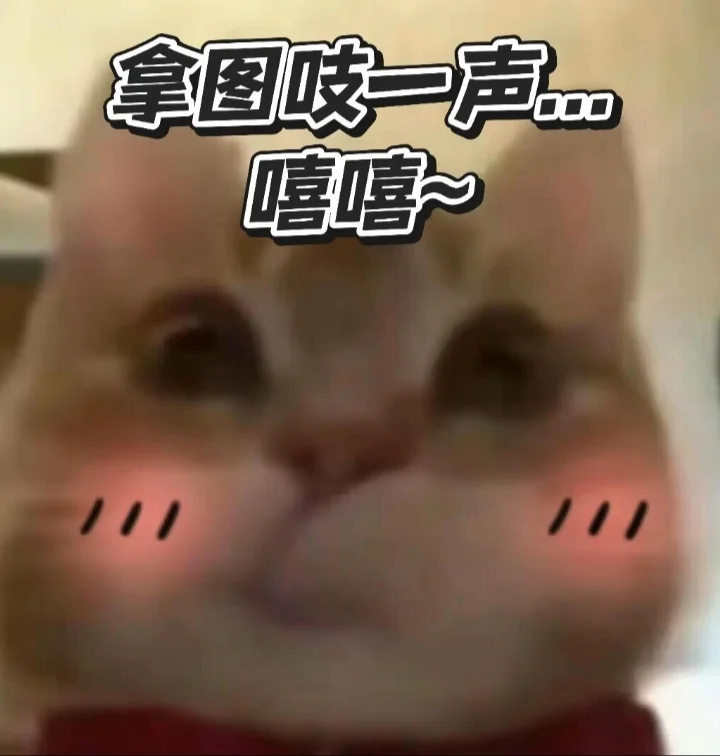 谁会拒绝可爱啊！💗