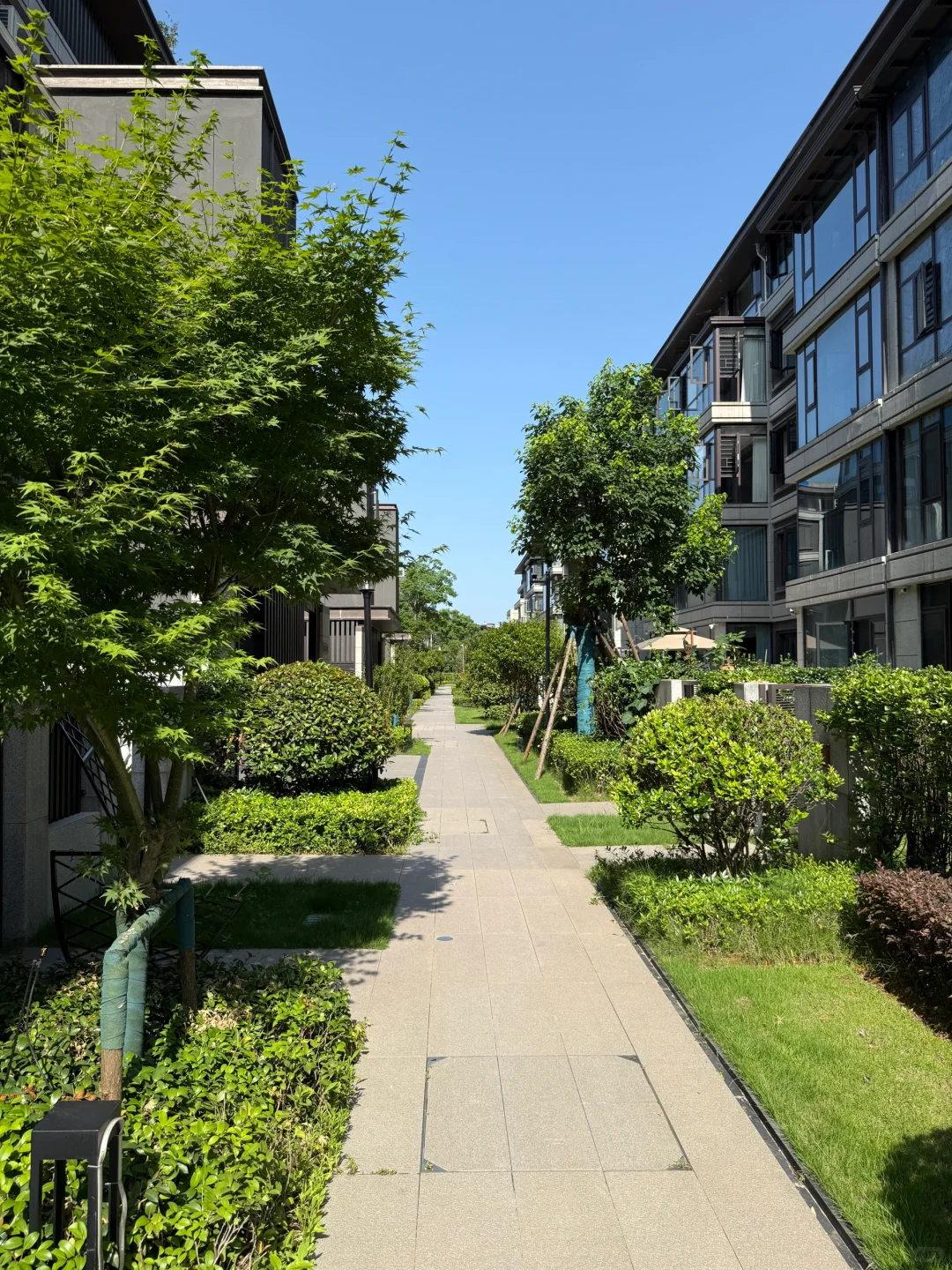 别墅小区入住率也太低了…