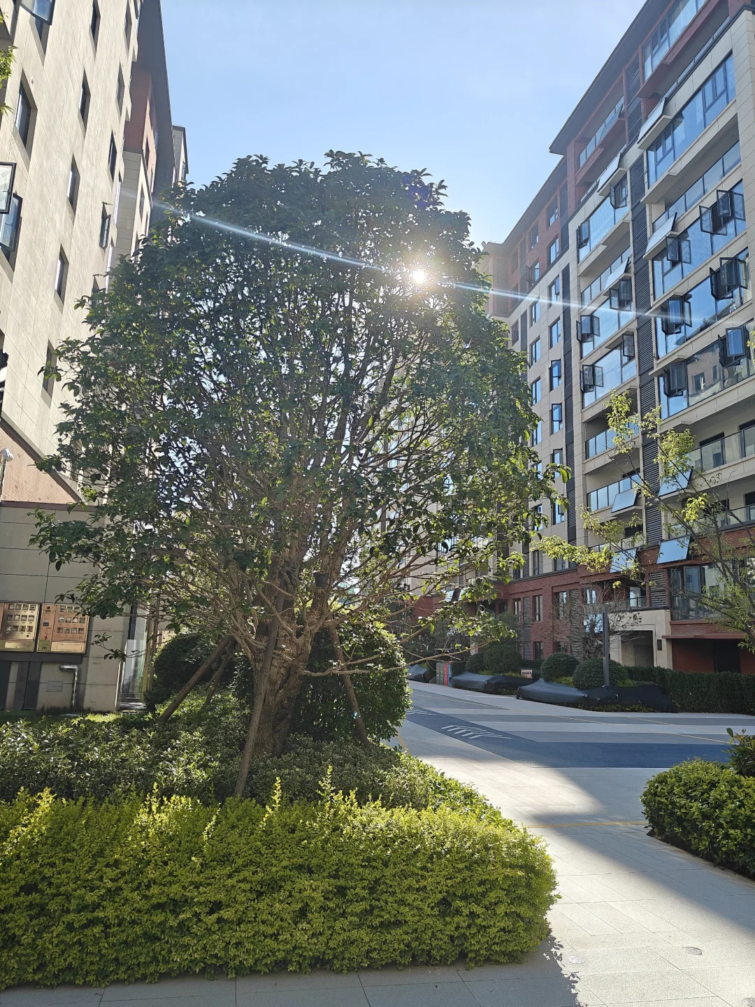 我今年37岁职业地产建筑设计师即将失业