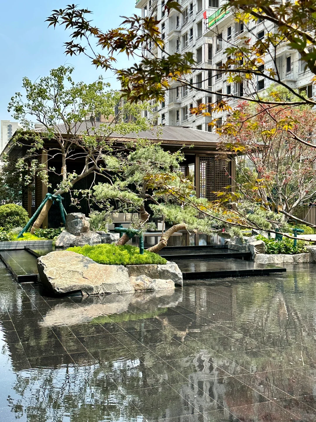 救命‼️天津新晋东方美学氛围感密码‼️‼️