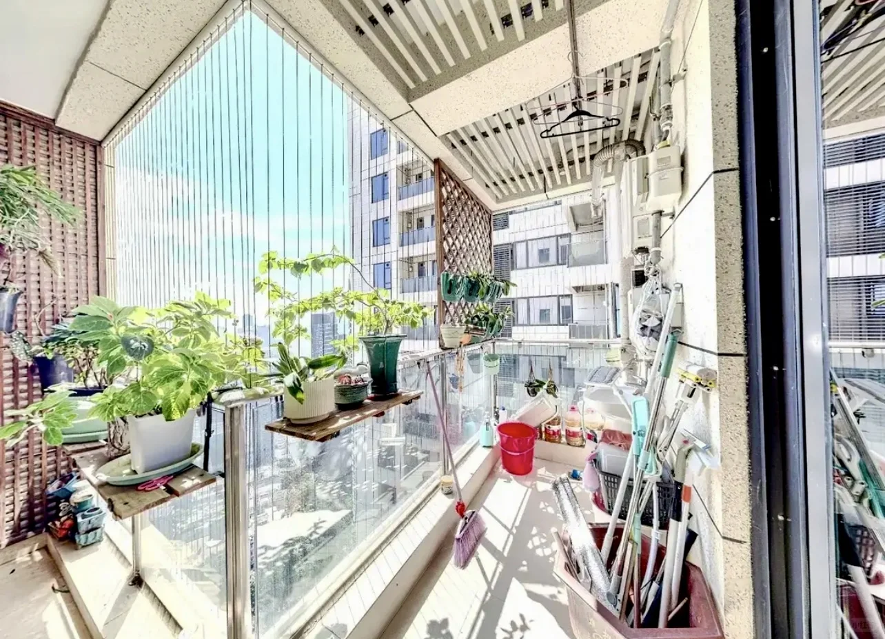 房东阿姨说去年要210个今天却91个说再见！