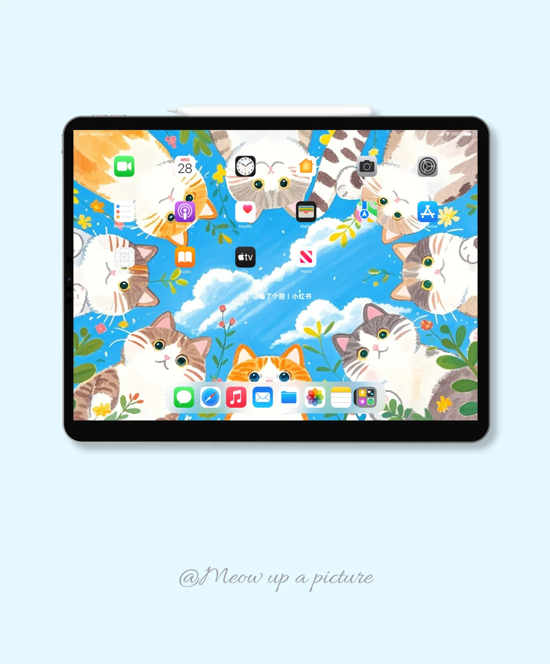 ipad壁纸丨小猫叫你起床啦
