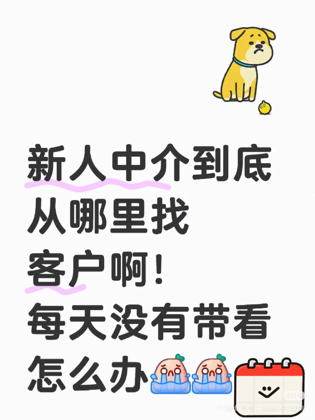 房产新人中介，客户从哪里来