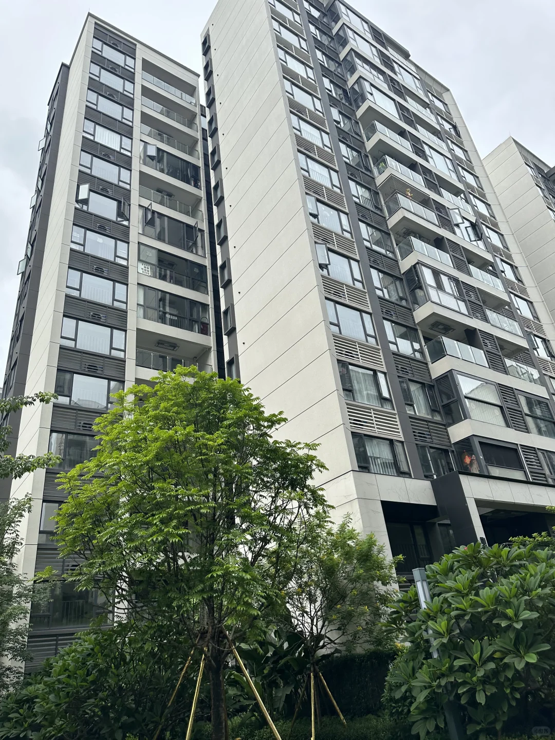 广州市天河区珠江新城旁人才房申请分享