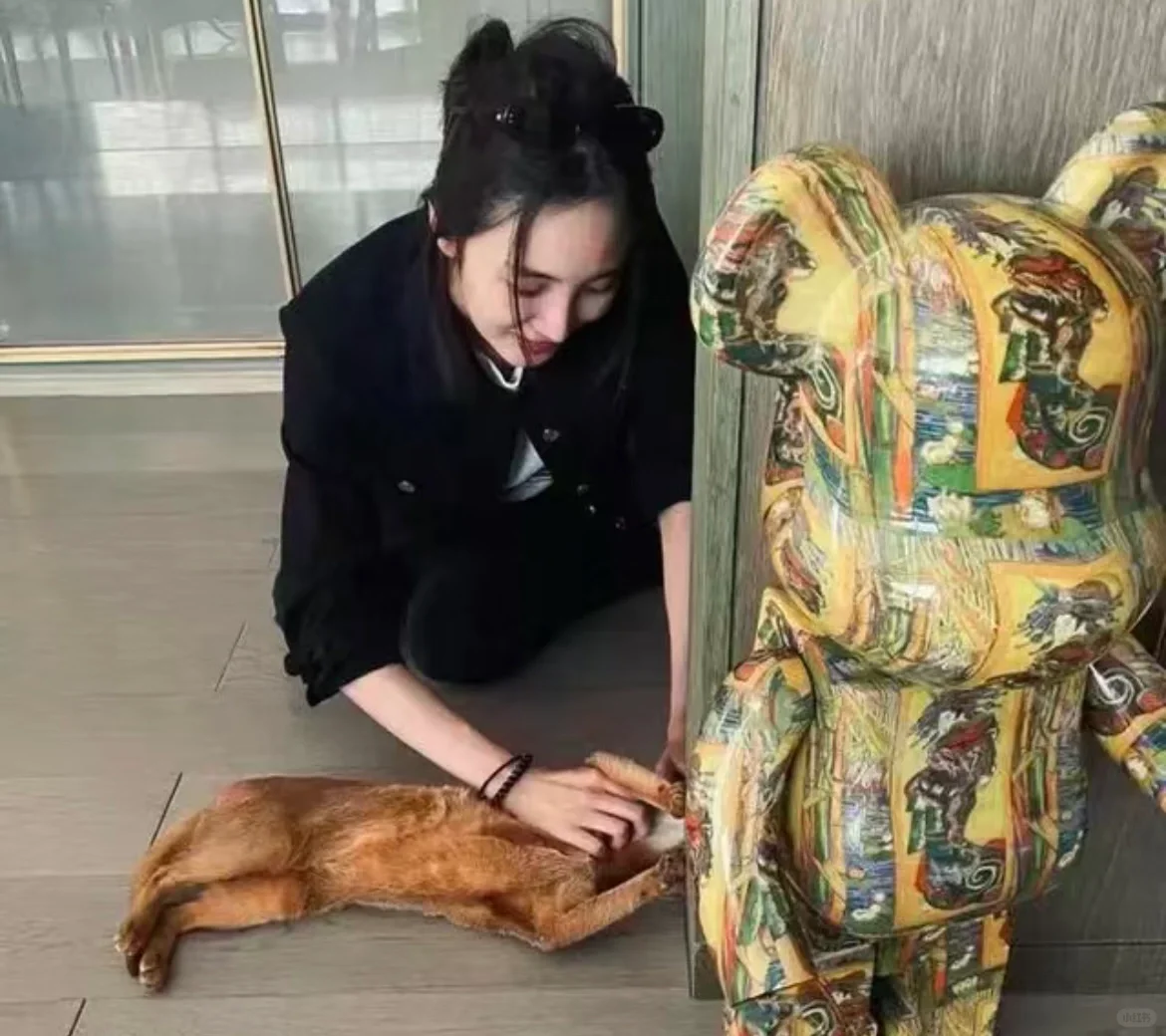 低调圈内富婆王紫璇，豪宅五层楼还带电梯！！