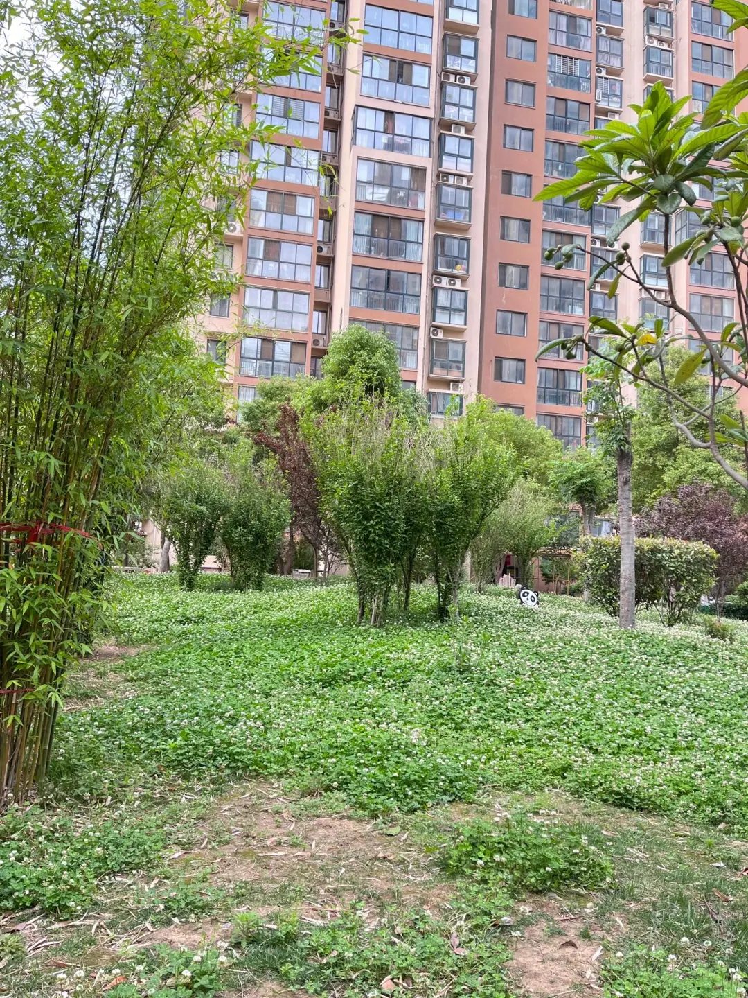 南阳业主自售48平标准一室一厅70年住宅🏠
