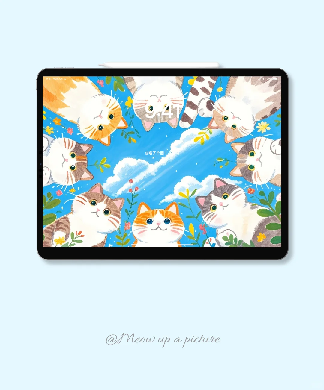 ipad壁纸丨小猫叫你起床啦