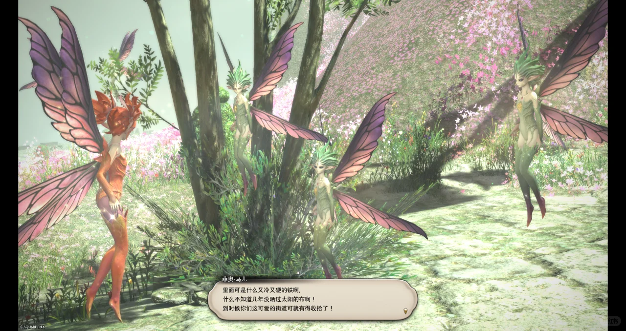 【73】我可爱又美丽的小树枝菲奥帮帮我嘛！