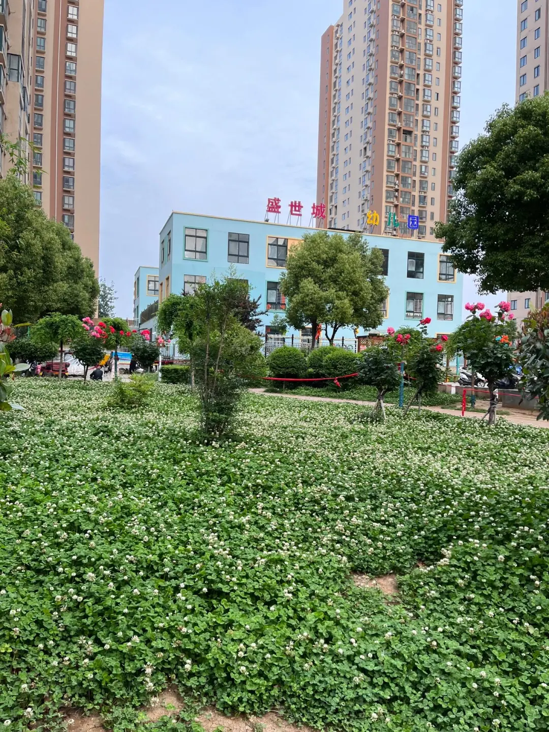 南阳业主自售48平标准一室一厅70年住宅🏠
