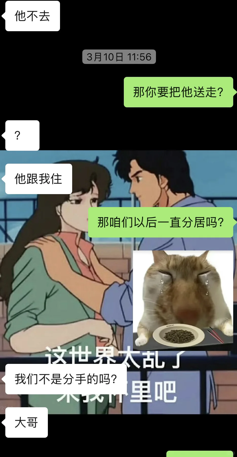 和前妻姐互动全靠猫片苦苦支撑