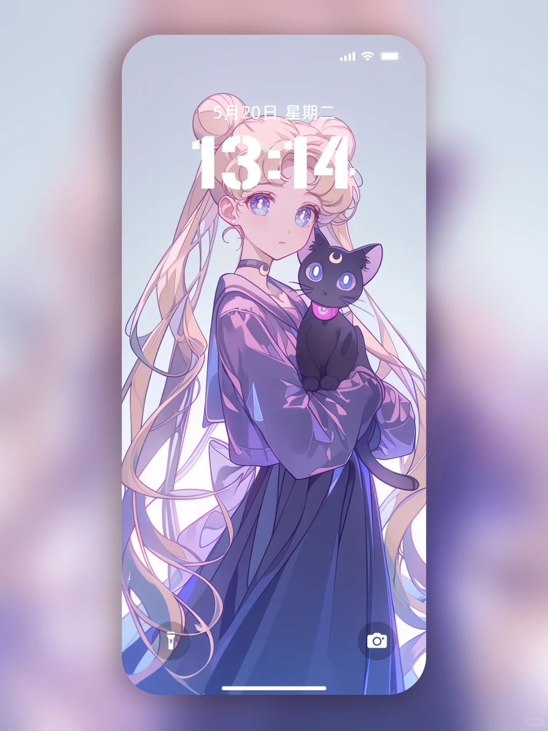 紫色魅惑💜美少女与猫