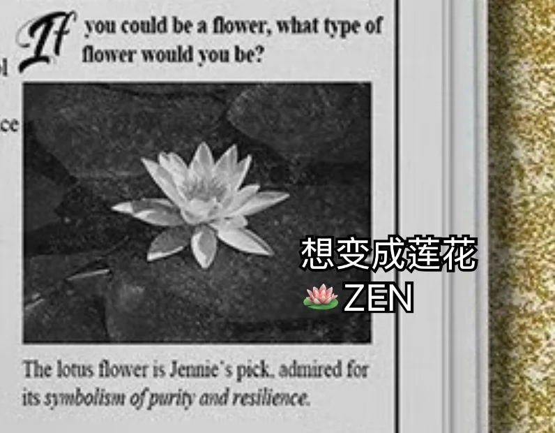 那些年抛媚眼给瞎子看的Jennie：