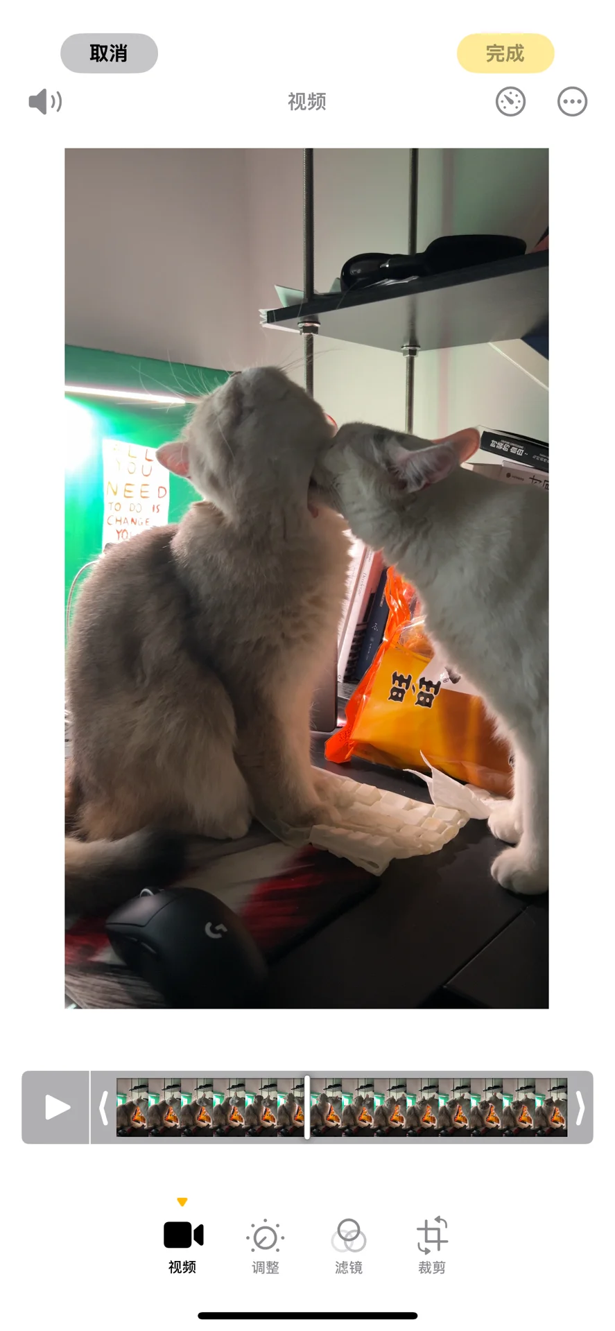 和前妻姐互动全靠猫片苦苦支撑