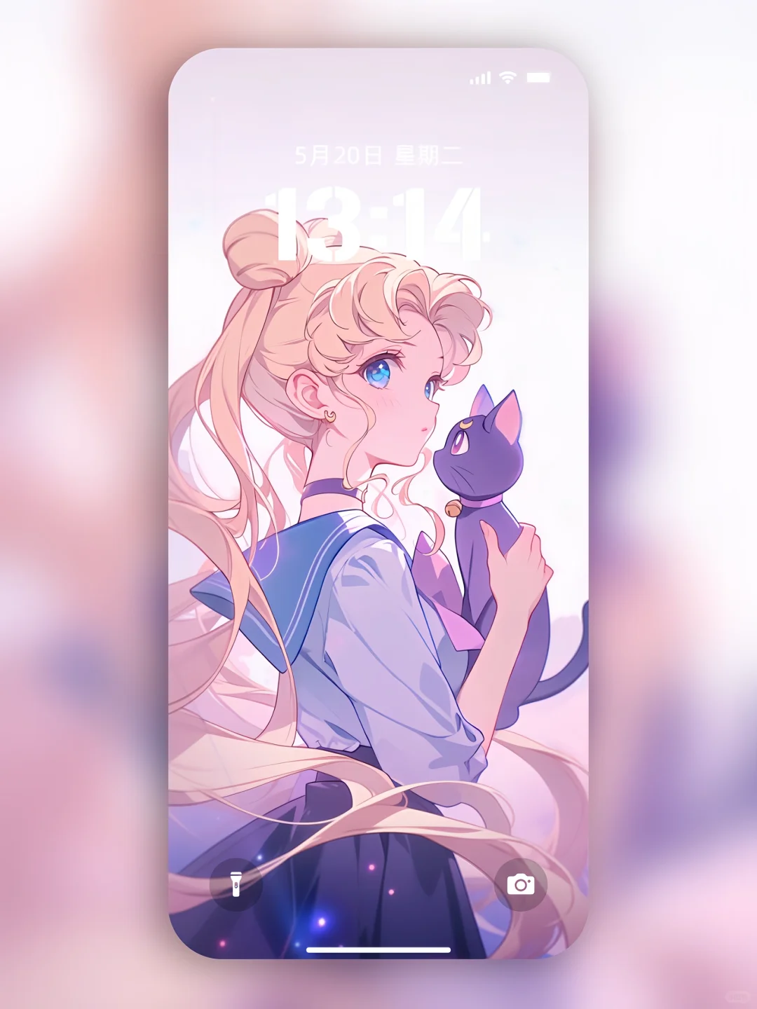 紫色魅惑💜美少女与猫