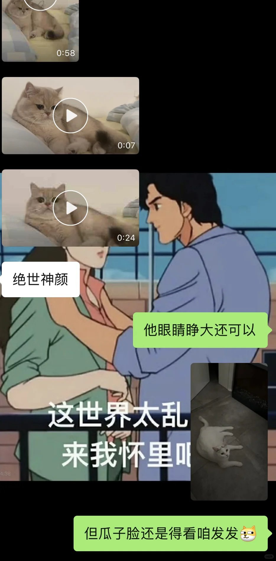 和前妻姐互动全靠猫片苦苦支撑