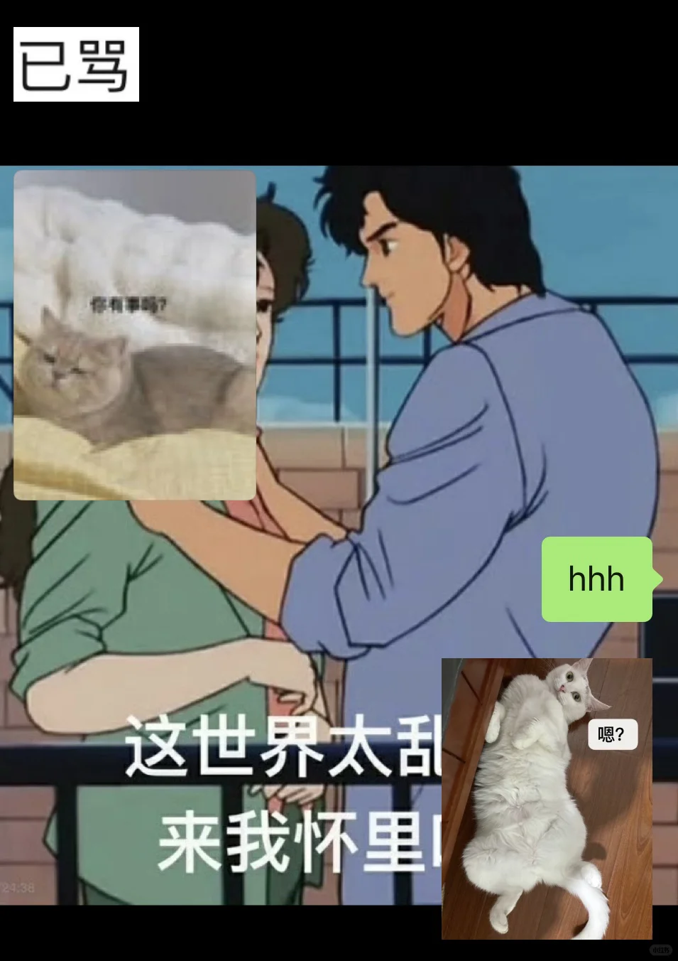 和前妻姐互动全靠猫片苦苦支撑