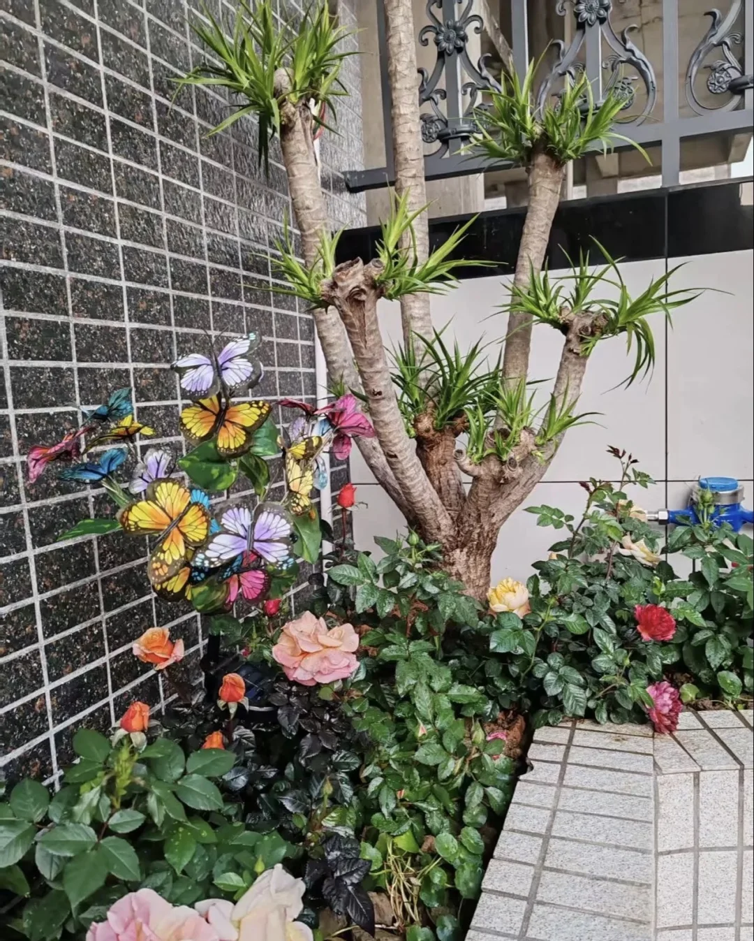 汝湖虾村一组新房出租