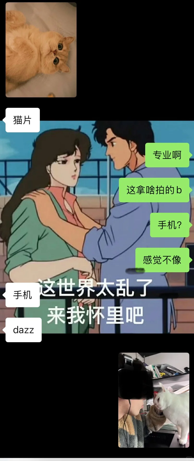 和前妻姐互动全靠猫片苦苦支撑