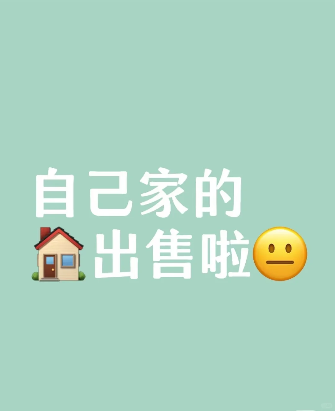 房东直售！两室两厅不到四十！