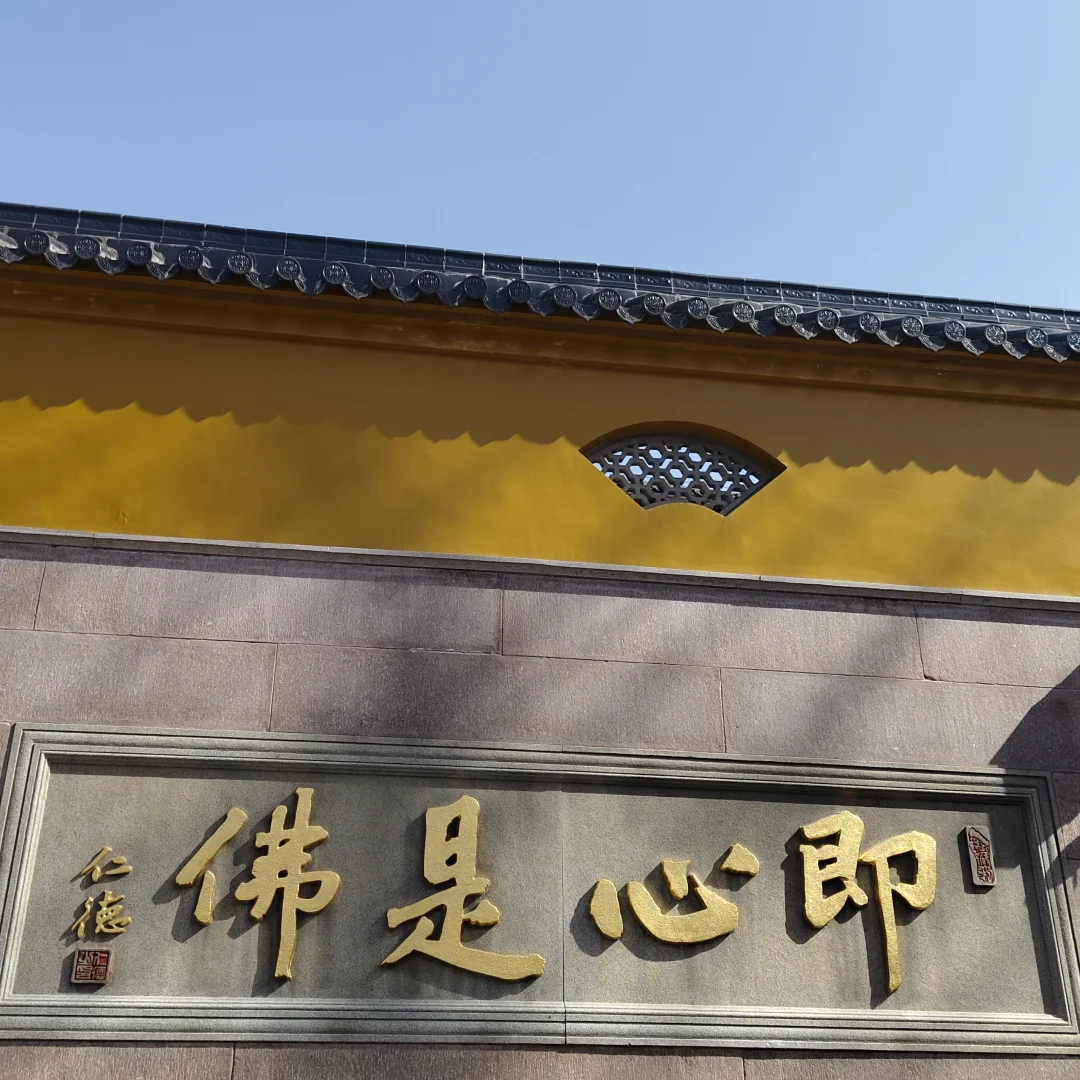 任武林谁领我风骚 我却只为你折腰