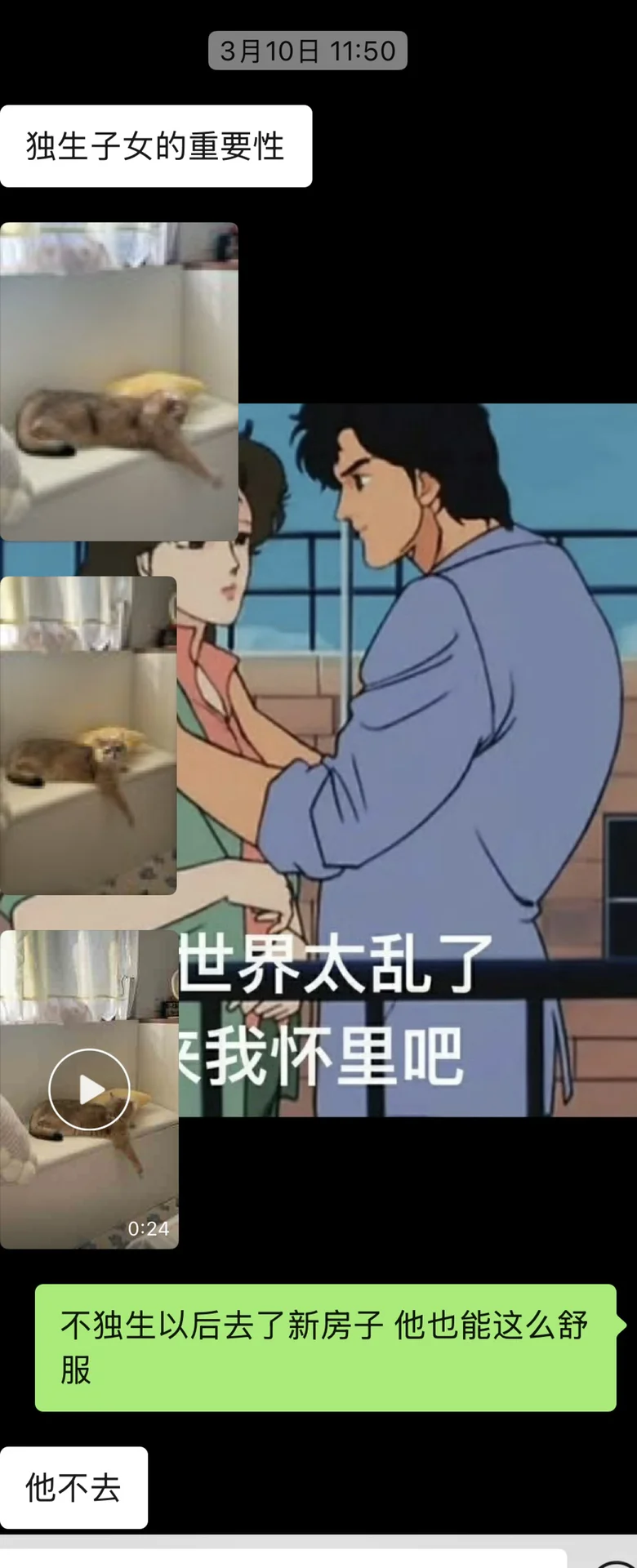 和前妻姐互动全靠猫片苦苦支撑