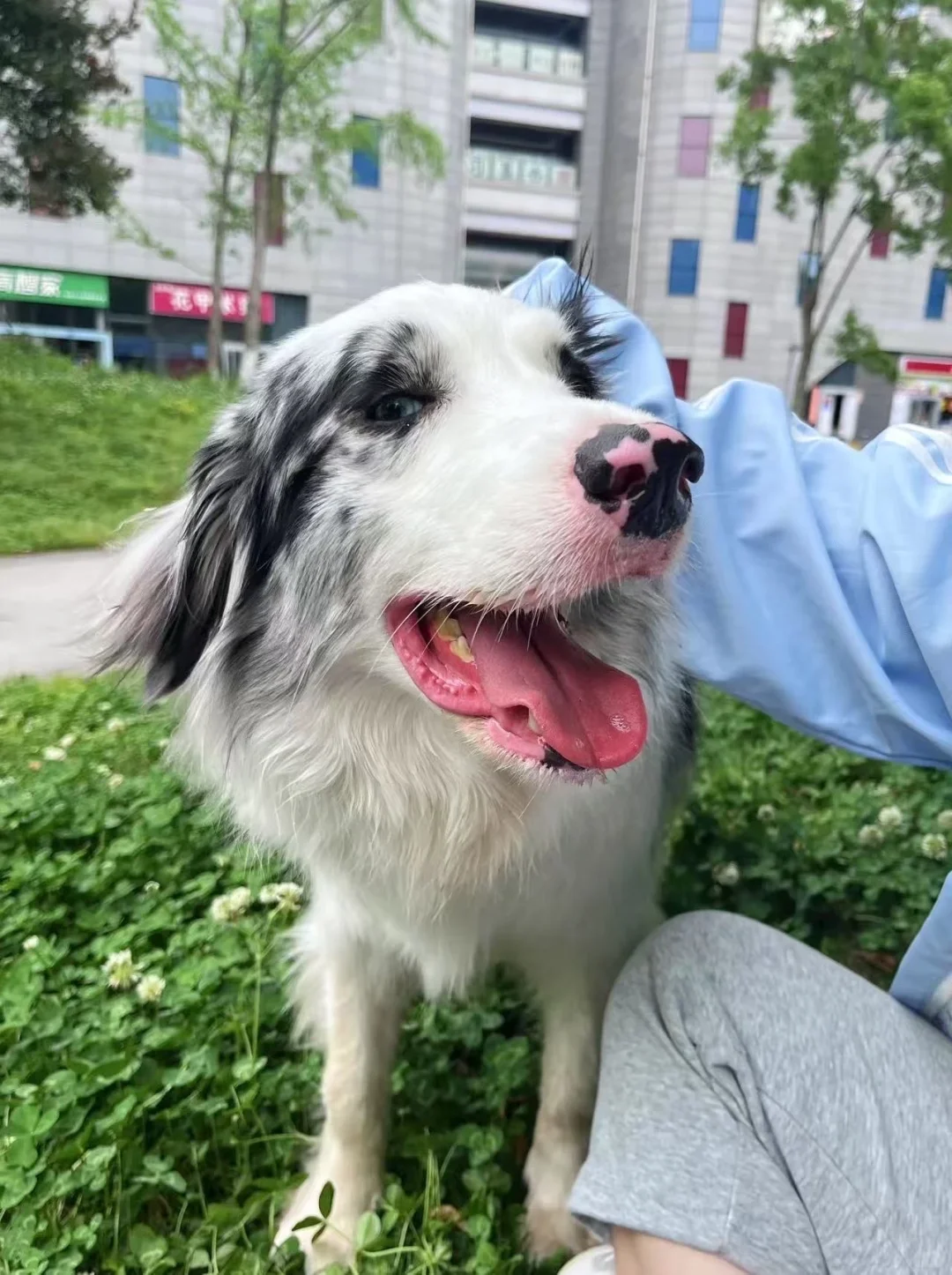 这就是媚眼如丝吗