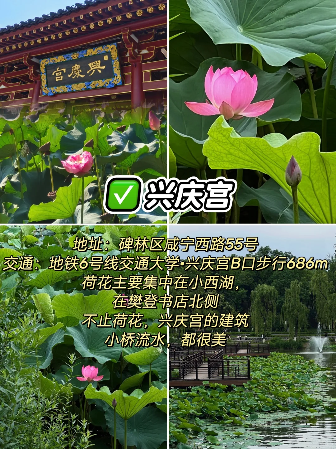 “荷”你相约，西安6个赏“荷”公园