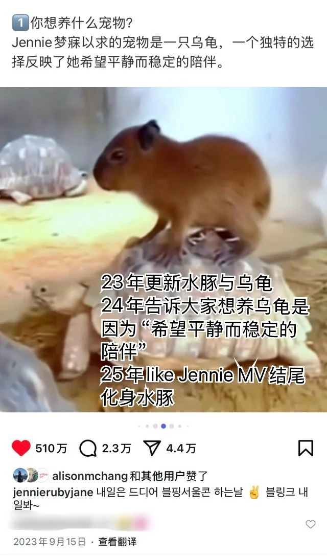 那些年抛媚眼给瞎子看的Jennie：