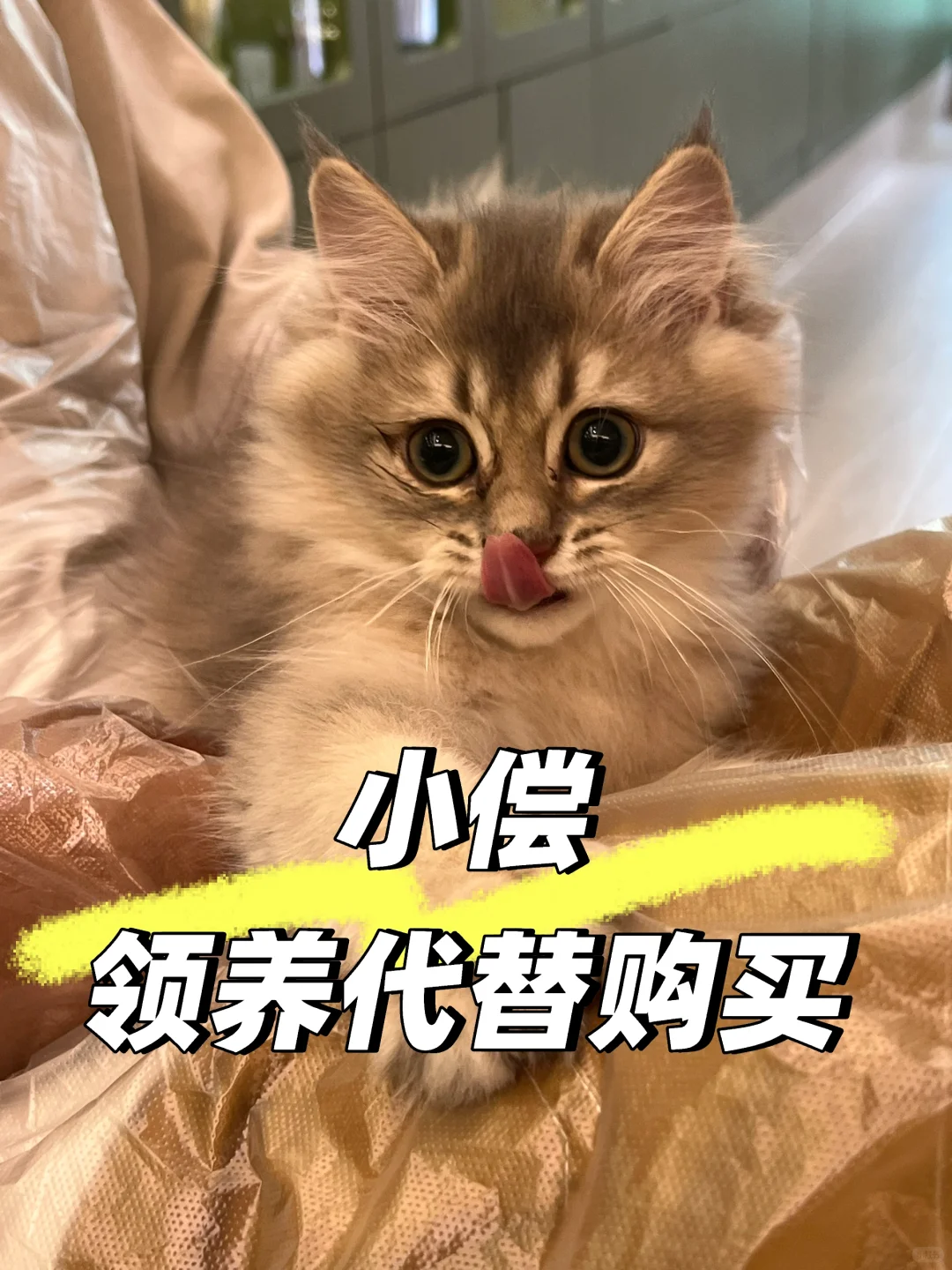 坐标北京｜三里屯出没！“妖艳”✨下班搭子