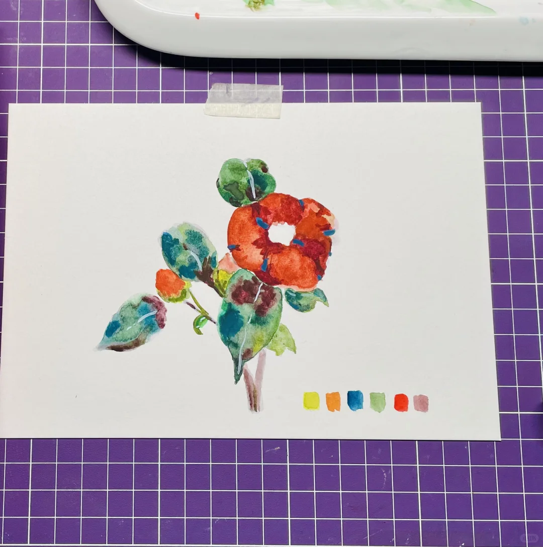 夏日花开娇艳 | 水彩花卉