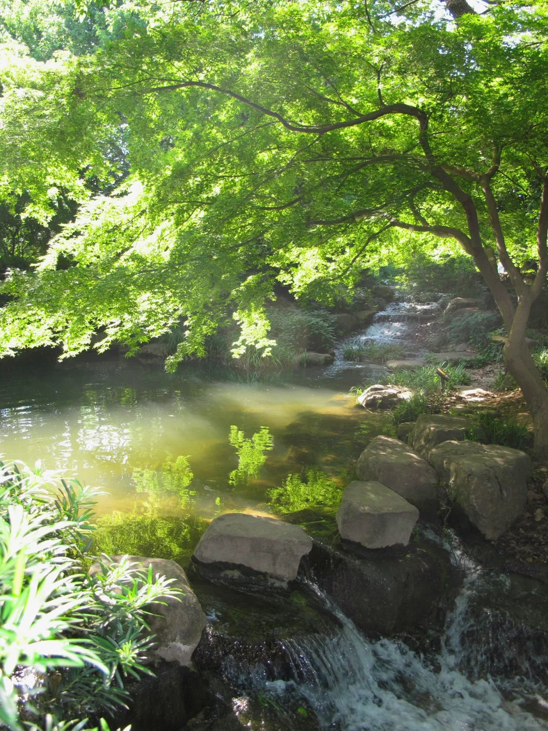 成大美者 自有静气