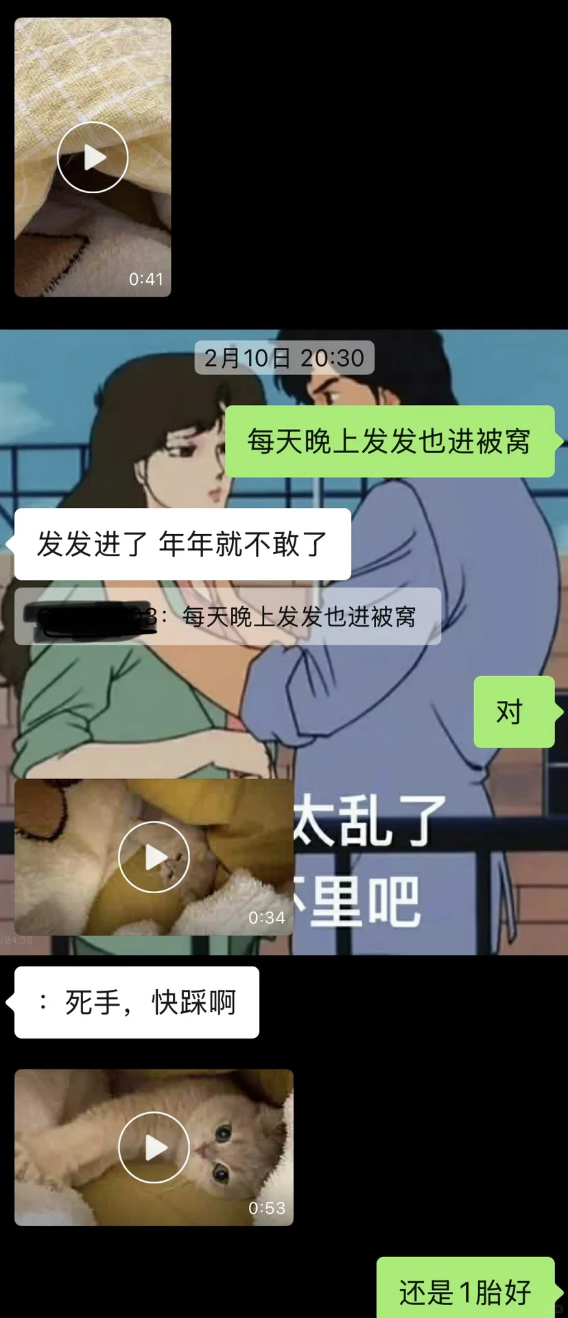 和前妻姐互动全靠猫片苦苦支撑