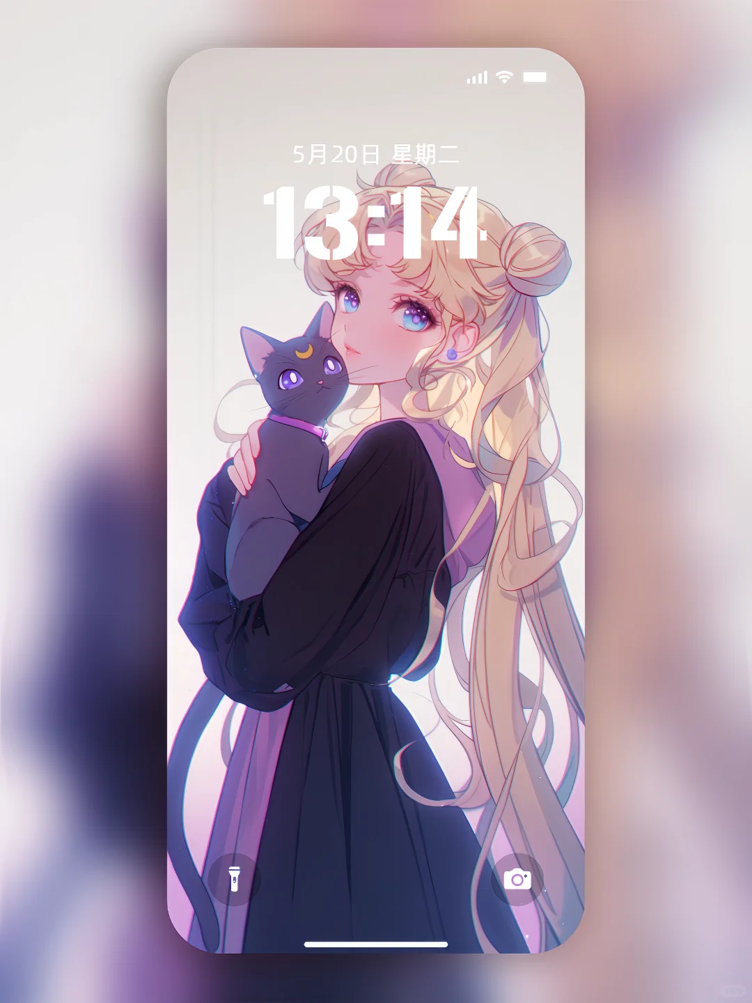 紫色魅惑💜美少女与猫