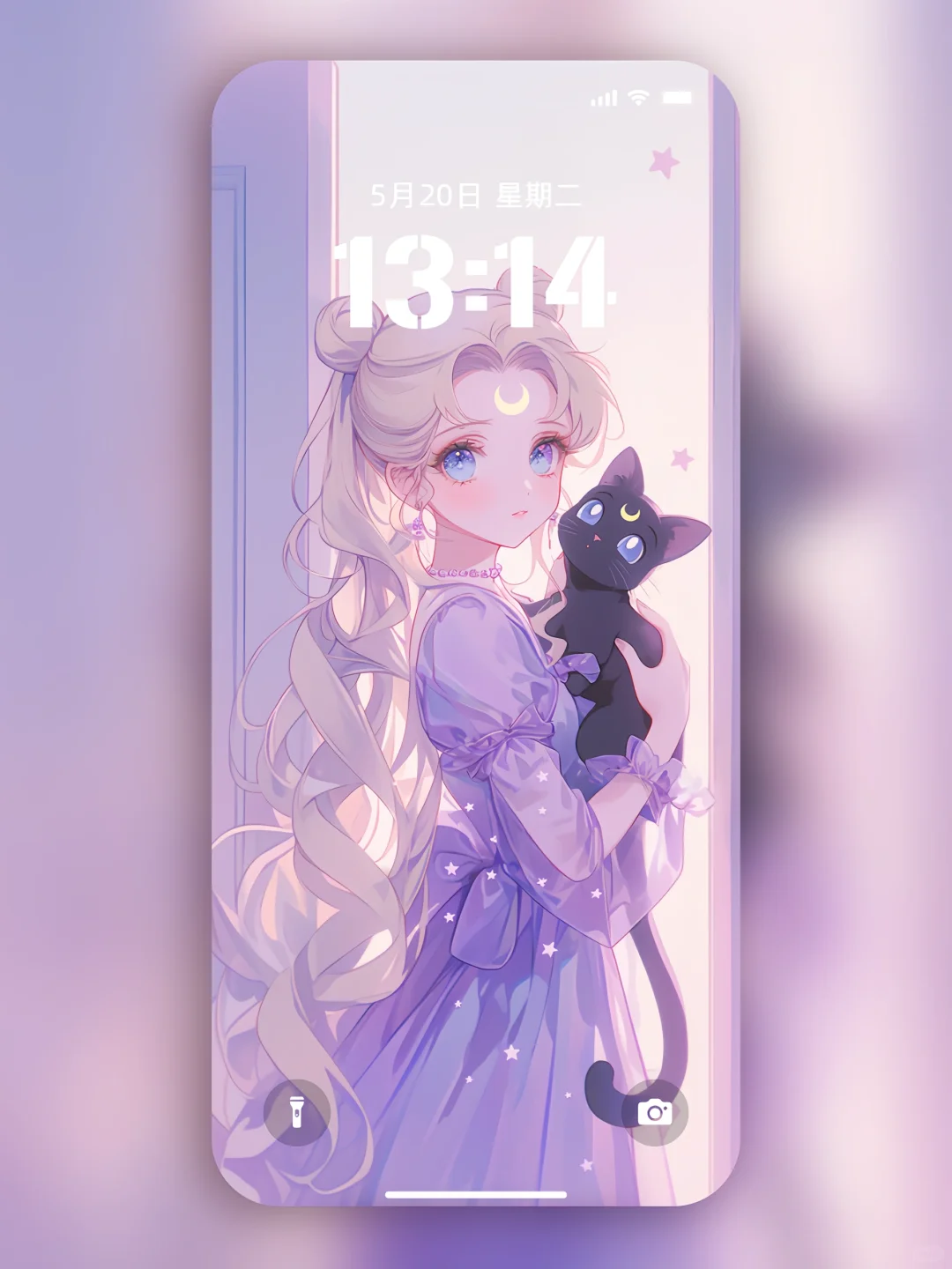 紫色魅惑💜美少女与猫